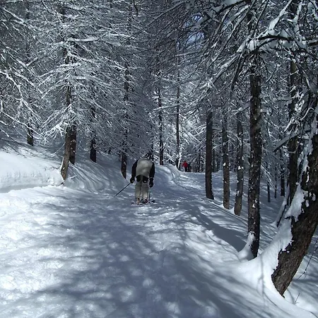 Domek alpejski Grand Au Val D'allos- Vue Exceptionnelle - Plein Sud